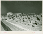 Flags - In snow by Administration Building
