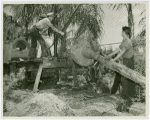 Florida Participation - Men loading palm tree onto trailer for Fair