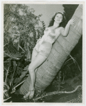 Florida Participation - Woman in bathing suit leaning on palm tree