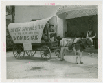 Florida Participation - Man in covered wagon driven from Florida to Fair