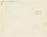 Florida Participation - Woman in bathing suit leaning on palm tree