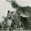 Florida Participation - Men hoisting up palm tree