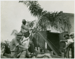 Florida Participation - Men hoisting up palm tree