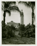 Florida Participation - View of pavilion through garden
