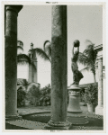 Florida Participation - Patio of pavilion
