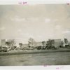Food - Building - Construction - View across site