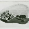 Food - Focal Exhibit - Sketch of display on preservation