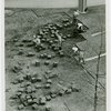 Ford - Workers cutting sod