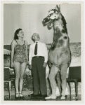 Ford - Man in Dobbin the horse costume with man and Miss Miami