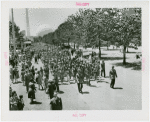 Girl Scout parade