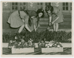 Girl Scouts planting flowers