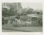 Gardens on Parade - Pond and tulips