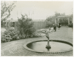 Gardens on Parade - Man and woman examining flowers