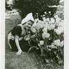 Gardens on Parade - Dutch Folk Dancer in costume by tulip bed