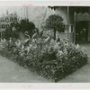 Gardens on Parade - Sculpture of birds