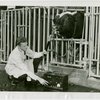 General Electric - Man testing bull with sound level meter