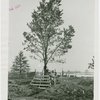 Great Britain Participation - Building - Construction - Worker with tree on site