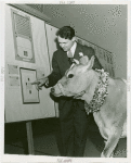 Great Britain Participation - Stamp Exhibit - Ernest Kehr showing Elsie the Cow stamps