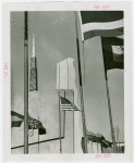 Hall of Pharmacy - Flags and side of building