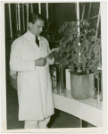 Heinz - Chemist with hydroponic tomato plant