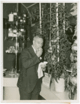 Heinz - Cornelius Scully biting into chemi-culture tomato