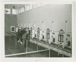 Infant Incubator - Men and women looking at babies in incubators