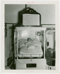Infant Incubator - Baby in incubator
