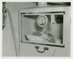 Infant Incubator - Baby in incubator