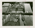 Italy Participation - Building - Construction - Exterior