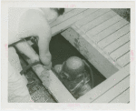 Lagoon of Nations - Navy diver going into pool to repair piping