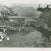 Maine Participation - Model of trout stream in exhibit