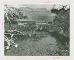 Maine Participation - Model of trout stream in exhibit