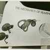 Medicine and Public Health - Exhibit on mechanics of hearing