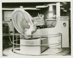 Medicine and Public Health - Model of ear