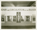 Medicine and Public Health - Exhibit on blood circulation