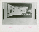 Medicine and Public Health - Sketch of exhibit on allergies