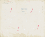 Medicine and Public Health - Sketch of exhibit on allergies