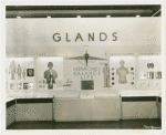 Medicine and Public Health - Exhibit on glands