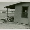 Mosquito protection and control - Man scooping water from under building