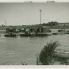Mosquito protection and control - Pond