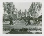 Netherlands - Building - Garden