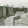 Netherlands - Building - Construction - Bricklayers with bricks