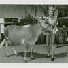 New Jersey Participation - State fair beauty queen with prize cow