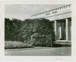 New York City - Building - Trees in front of entrance