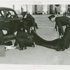 New York City - Police Dept. - Policeman demonstrating giving first aid to victim