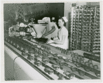 New York World's Fair - Employees - Bakers - Bakers demonstrating mass production of cupcakes