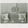 New York World's Fair - Employees - Police - Badges