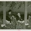 New York World's Fair - National Advisory Committees - Woman and man