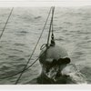 New York Zoological Society - Bathysphere