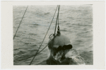 New York Zoological Society - Bathysphere